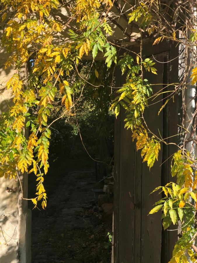 Les Ecuries Du Chateau Boissy-Saint-Léger Εξωτερικό φωτογραφία